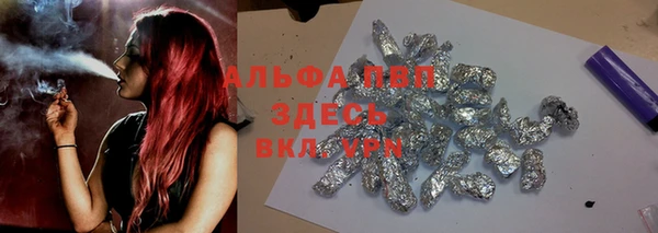 метадон Богданович