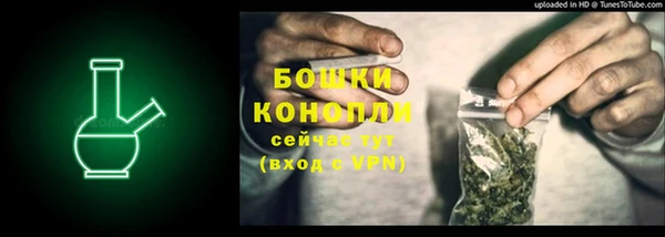 PSILOCYBIN Бугульма