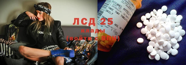 метадон Богданович
