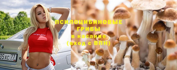 хмурый Бронницы