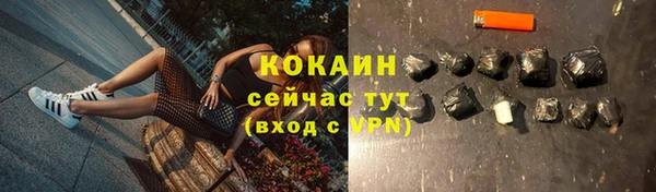 тгк Богородицк