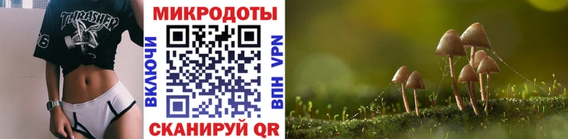 Галлюциногенные грибы прущие грибы  Унеча 